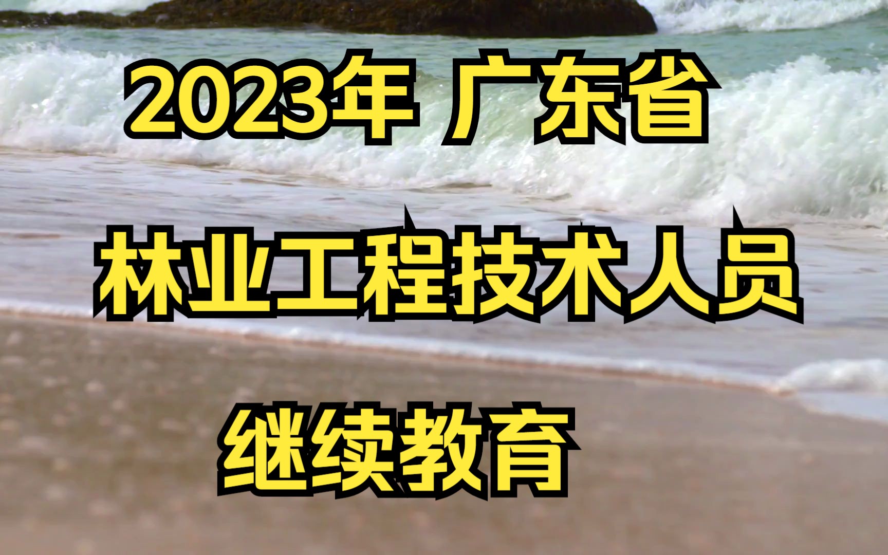 2023年广东省林业工程技术人员继续教育专业课网络培训哔哩哔哩bilibili