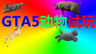 Gta5 哪只动物速度最快 动物们的运动会 哔哩哔哩 Bilibili