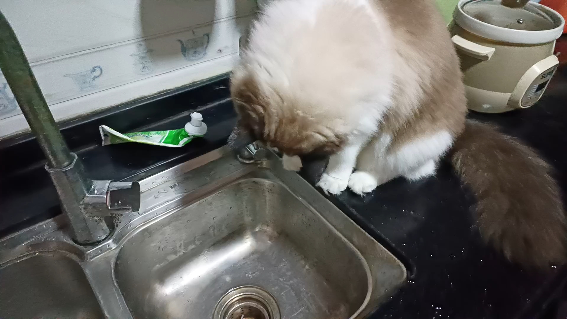 水龙头直接喝水