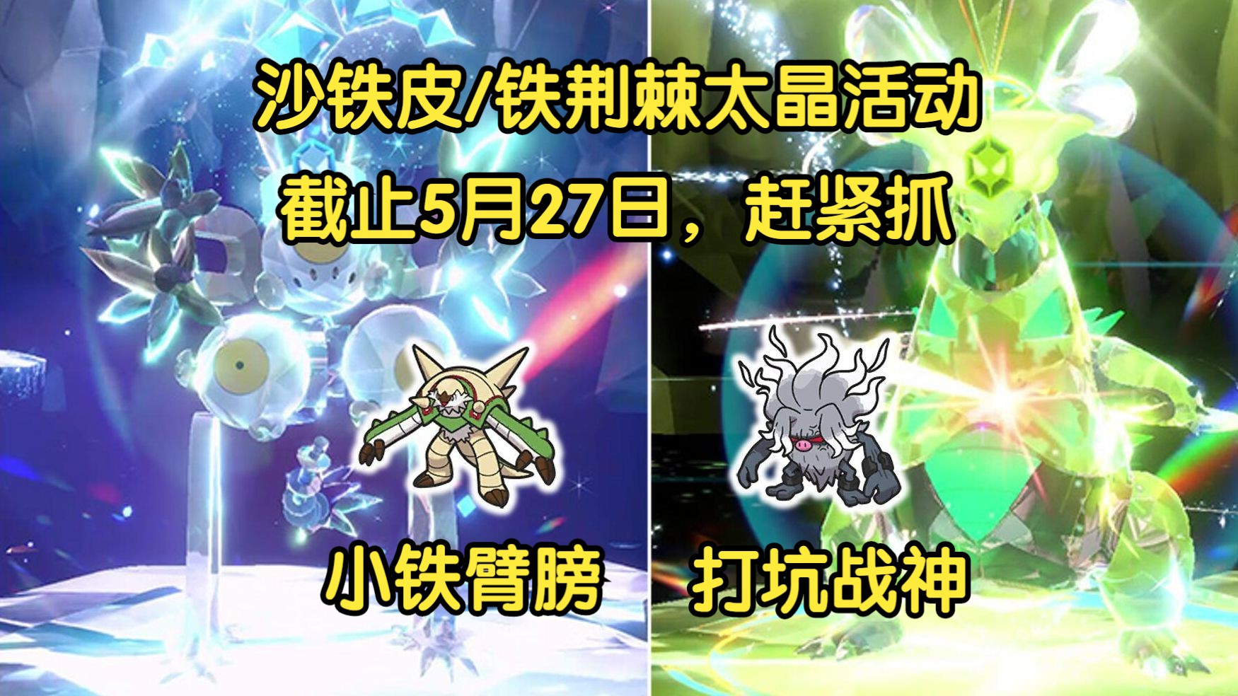 《宝可梦朱紫》单刷5星沙铁皮/铁荆棘攻略POKEMON