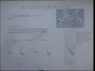 [复旦大学上海医学院生物化学精品课全程授课录像视频].18蛋白质生物合成(1)哔哩哔哩bilibili