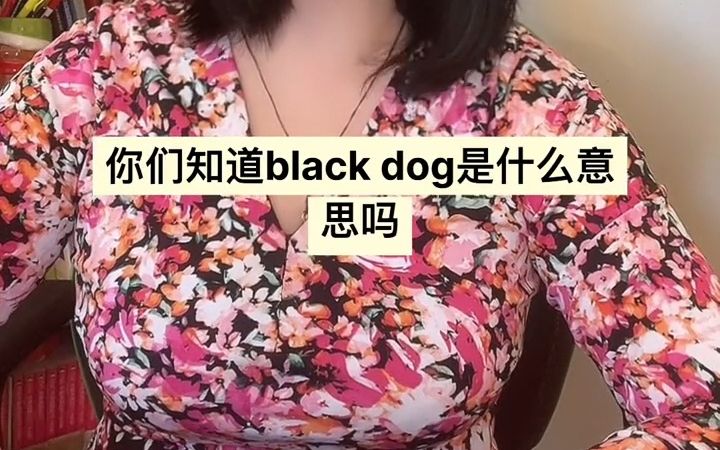 ”black dog“是什么意思?哔哩哔哩bilibili