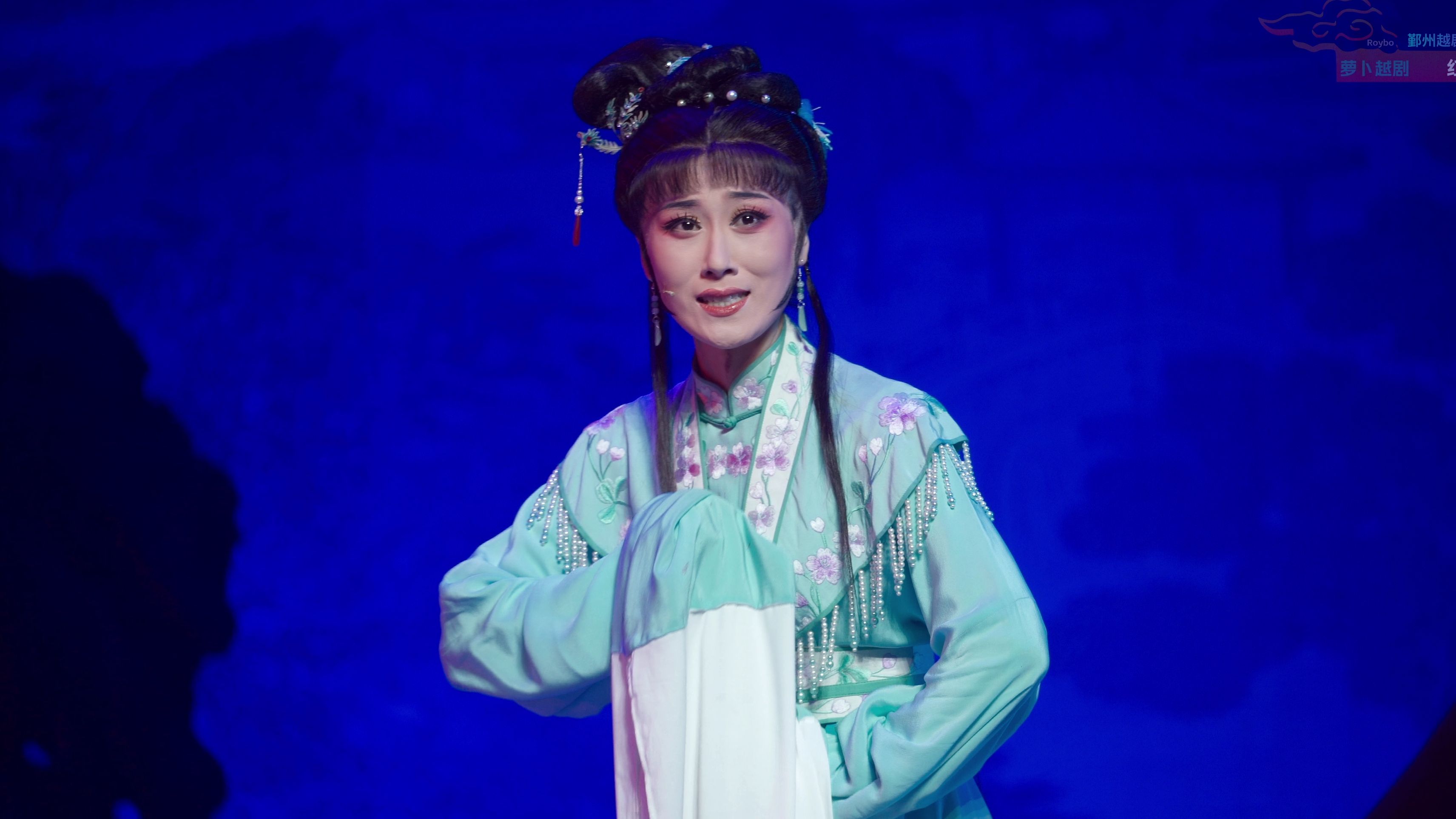 【4k越剧】红楼梦61闭门羹 陈梦薇 陈尔 张燕婷 鄞州越剧团天然