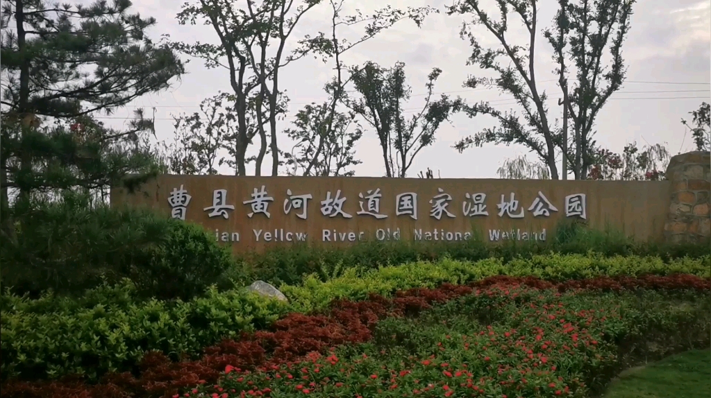 活动  【黄河故道|万亩荷塘】曹县的这波热度,我蹭的太晚了