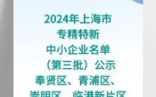 2024年上海市专精特新中小企业名单(第三批)公示奉贤区、青浦区、崇明区、临港新片区哔哩哔哩bilibili