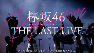 欅坂46 MUSIC VIDEO HISTORY_哔哩哔哩_bilibili