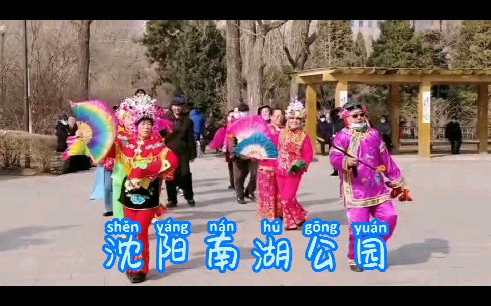 行走沈阳南湖公园哔哩哔哩bilibili