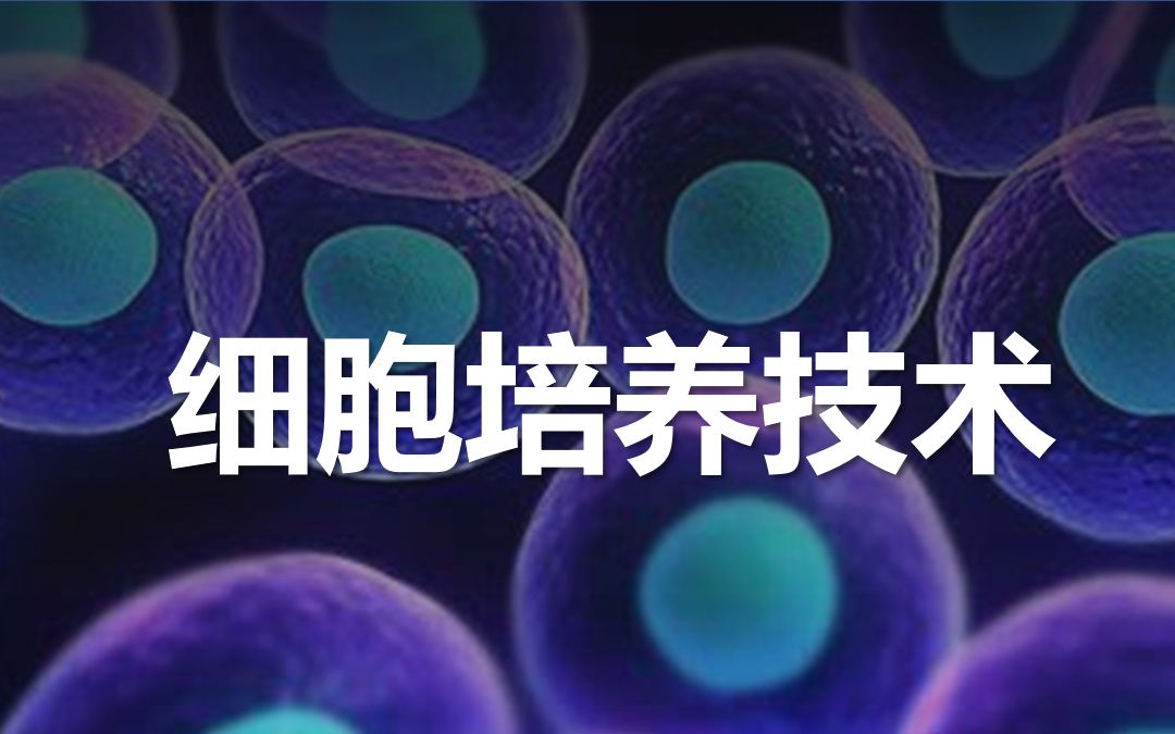 【细胞培养】生物实验必学,传代,冻存,复苏一网打尽~哔哩哔哩bilibili