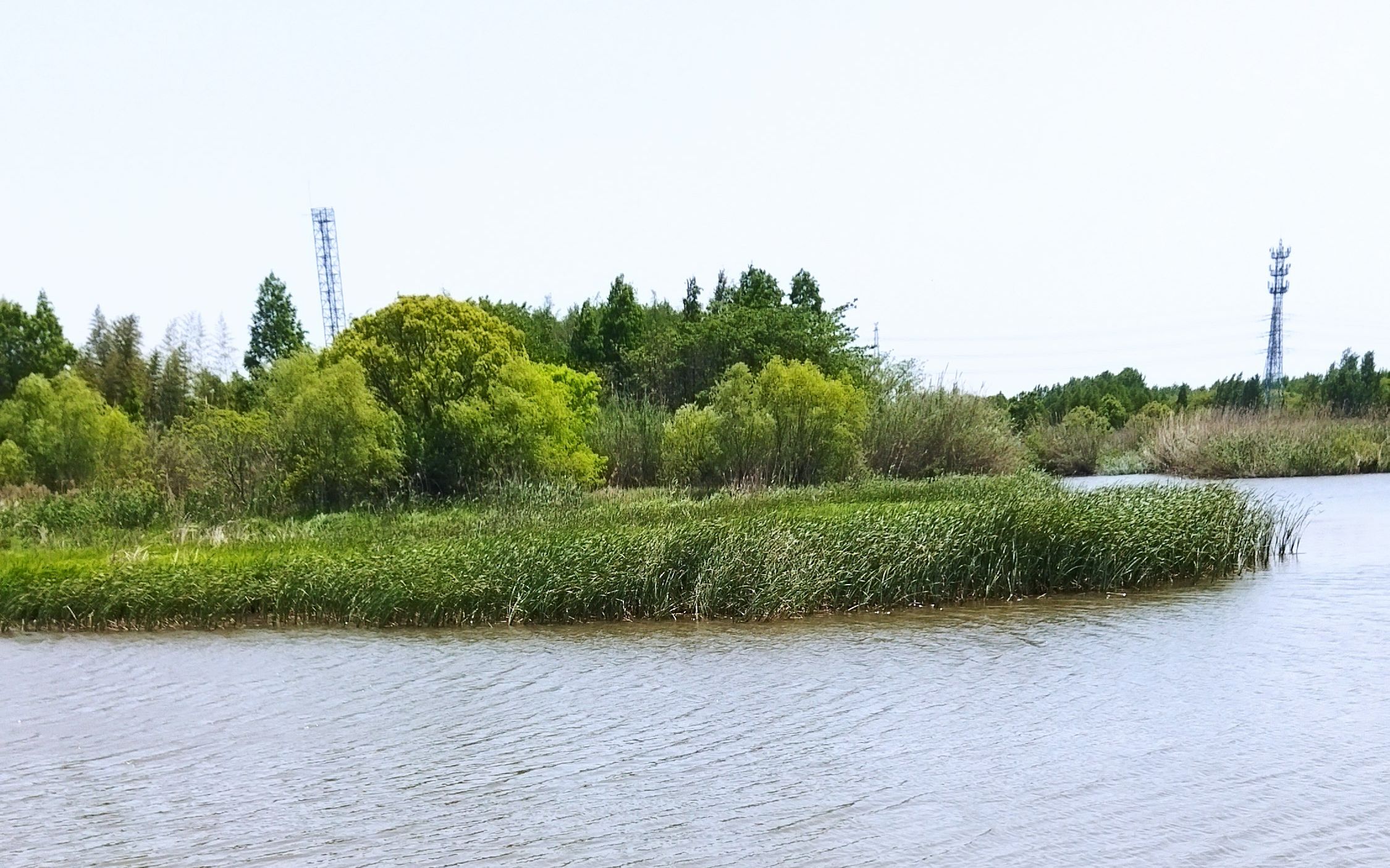 浦东金海湿地公园图片图片