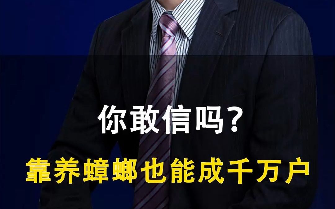 你敢信吗?靠养蟑螂也能得到国家上千万补贴哔哩哔哩bilibili