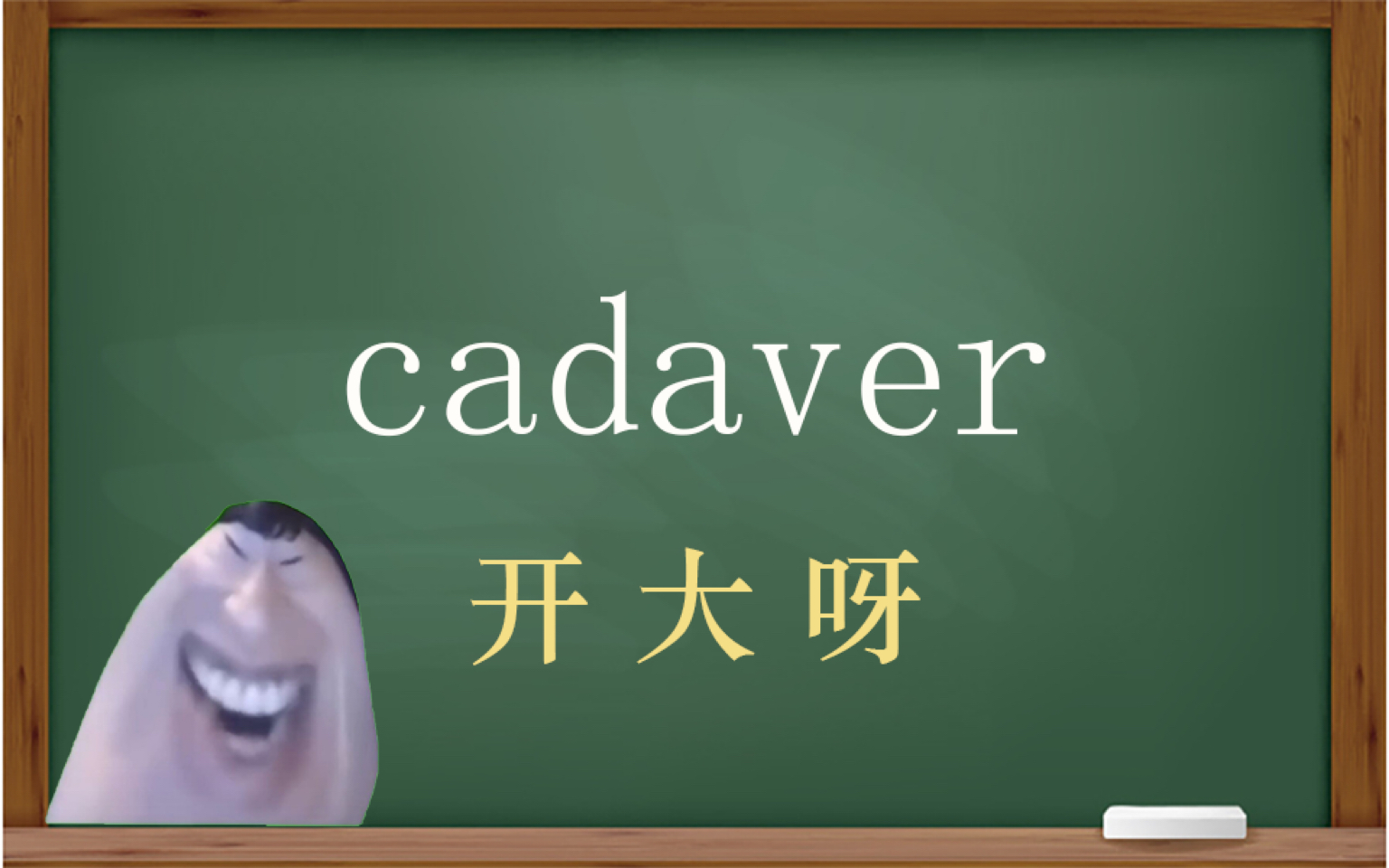 一秒钟寄个单词“cadaver”哔哩哔哩bilibili