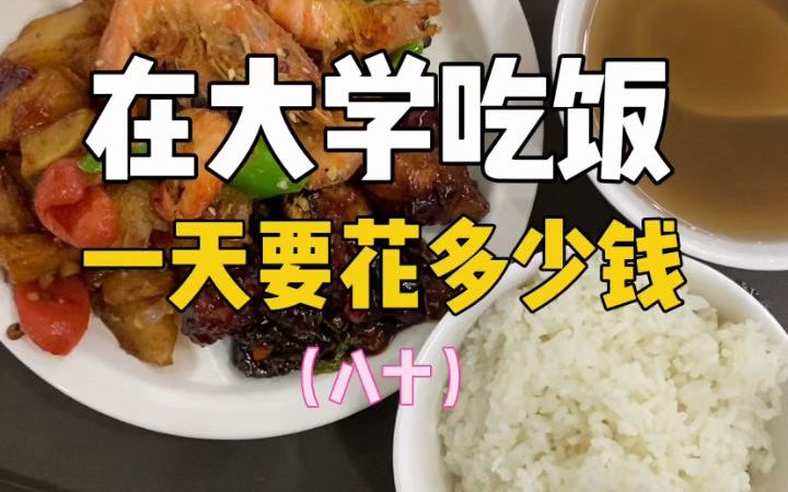 [图]在大学吃饭一天要花多少钱？（八十）| 第一次在食堂吃到左宗棠鸡诶~