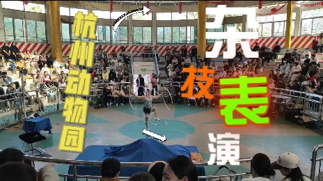 呼啦圈！魔术！高难度保持平衡接盘子！杭州动物园综艺馆杂技表演 单场不完整记录