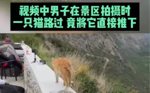 Video herunterladen: 男子为护机器将猫咪推下山崖，关于猫的应激，后果竟严重到超乎你想象！