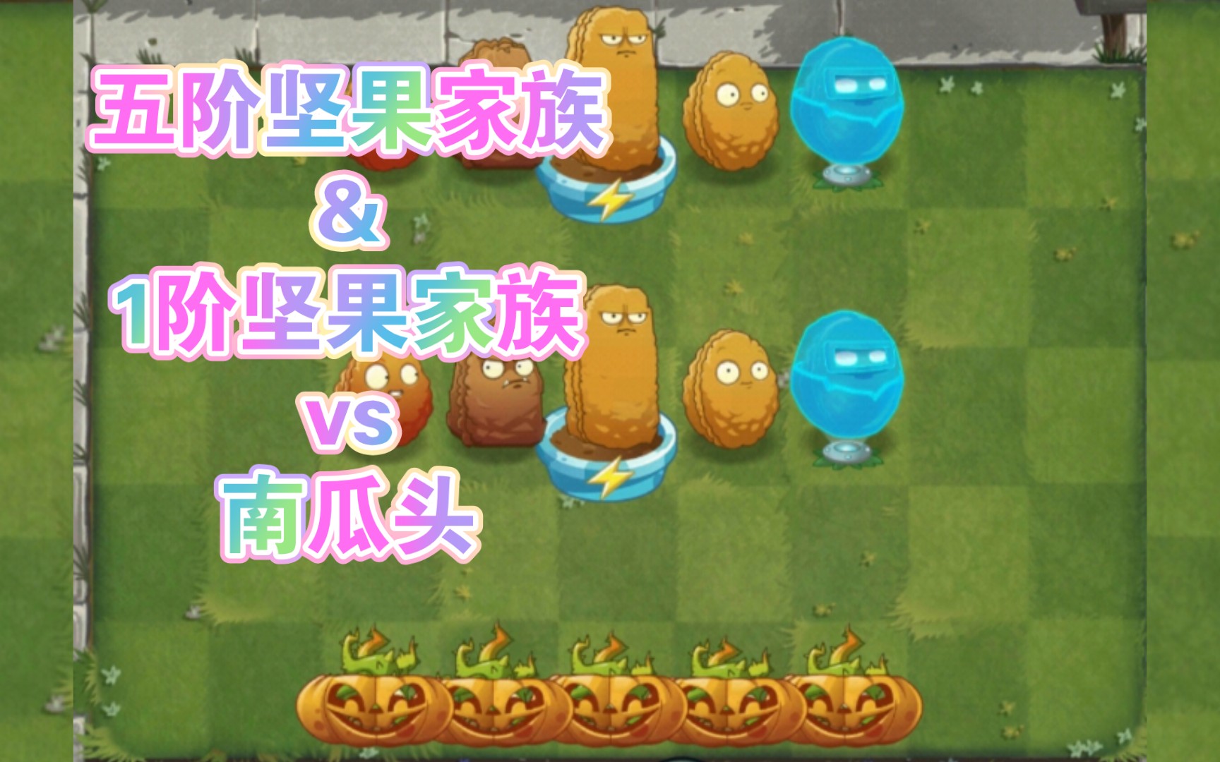 [pvz2][植物大战僵尸2]五阶坚果家族&1阶坚果家族vs南瓜头