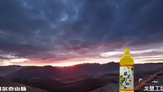 葵花油的制作 从葵花里取籽 哔哩哔哩 Bilibili