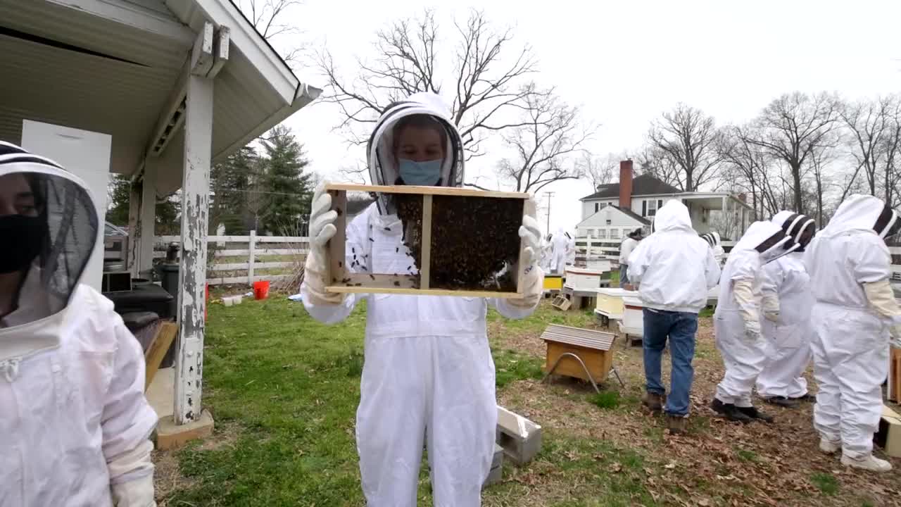 [图]George Mason University | #NationalHoneyBeeDay | The Honey Bee Initiative