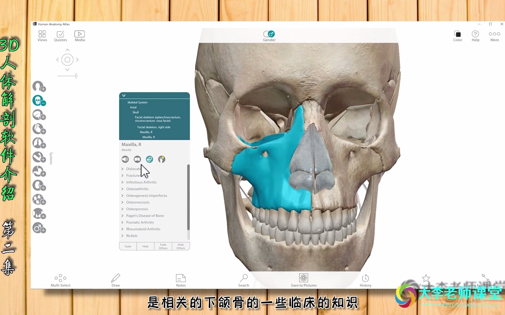 3D解剖软件详解第2集哔哩哔哩bilibili