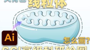 Ai<em class="keyword">科研绘图教程</em>—天青色线粒体，戳中了谁的审美？