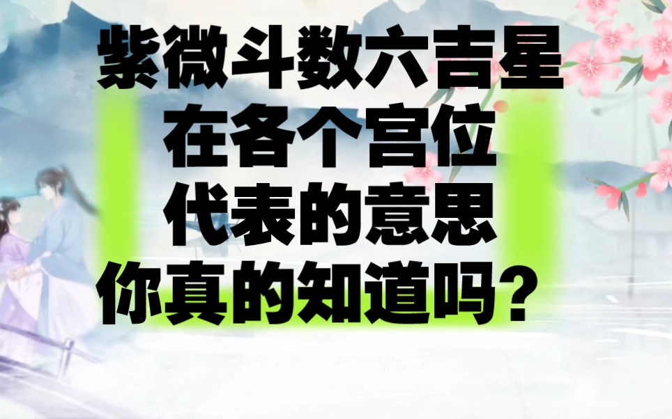 紫微斗数六吉星在十二宫的象义你真的知道吗?哔哩哔哩bilibili