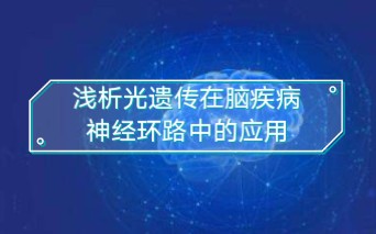 上海欣软提供光遗传,动物行为及钙成像整套解决方案.哔哩哔哩bilibili