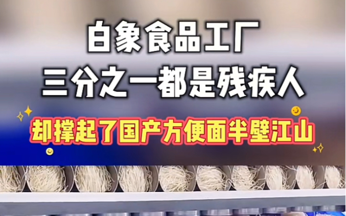 白象食品的工厂有些三分之一的残疾人,却撑起了国产方便面的半壁江山哔哩哔哩bilibili