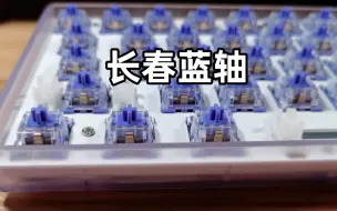 Télécharger la video: 6毛的轴王 到手即用 空格还能出木鱼声 出厂即巅峰的长春蓝轴