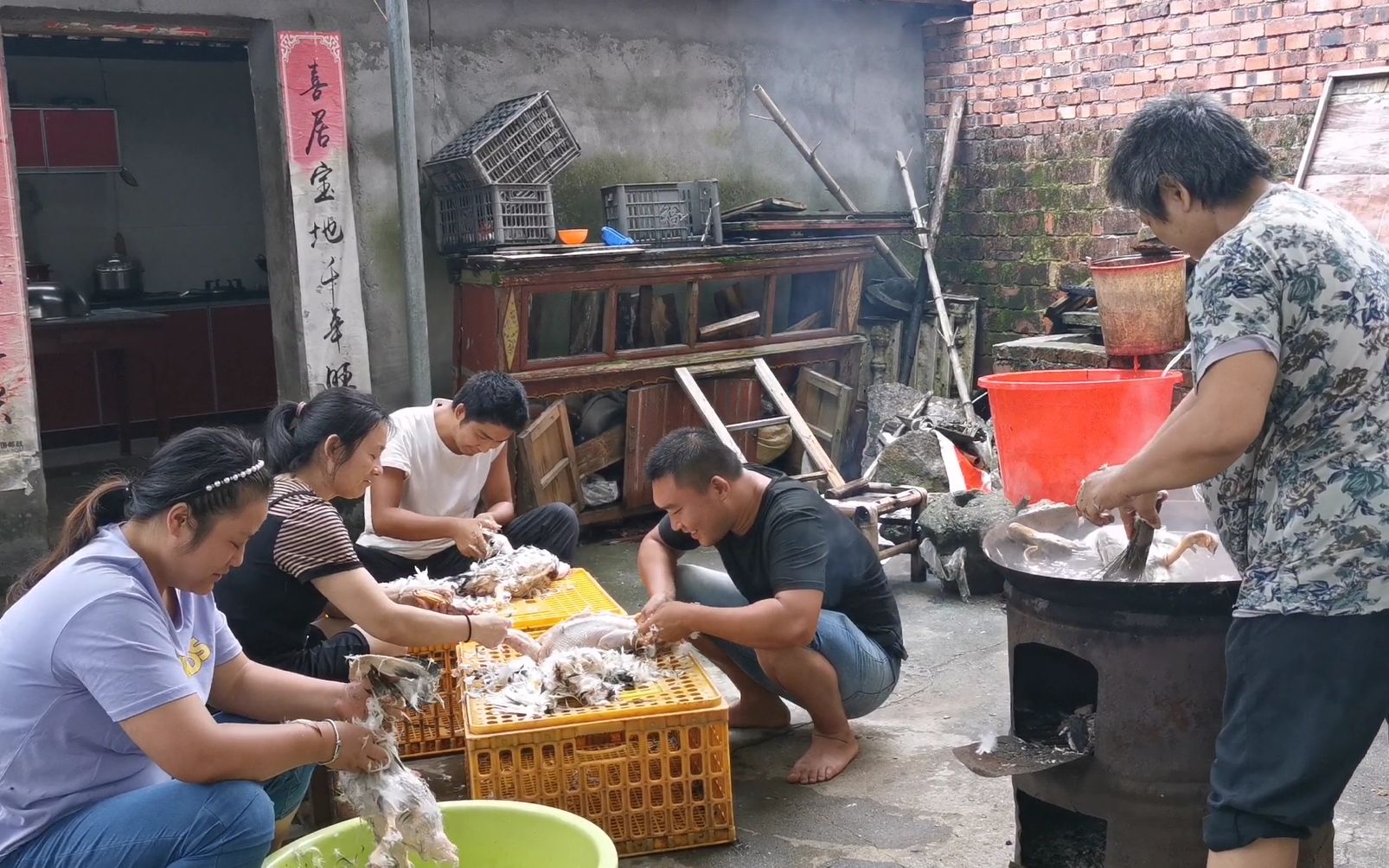 小邓家的土鸭接到了大单了,动用了5个人拔鸭毛,看看卖了多少只哔哩哔哩bilibili