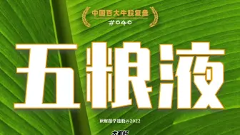 中国百大牛股复盘040：五粮液，中国领先的浓香型白酒企业