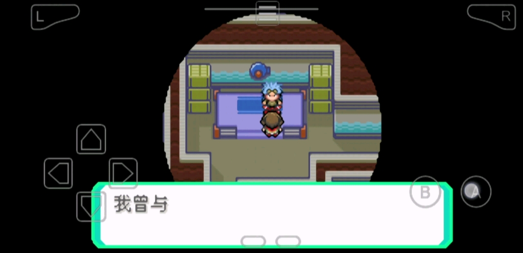 格斗系道馆藤树!奇怪的出现了!