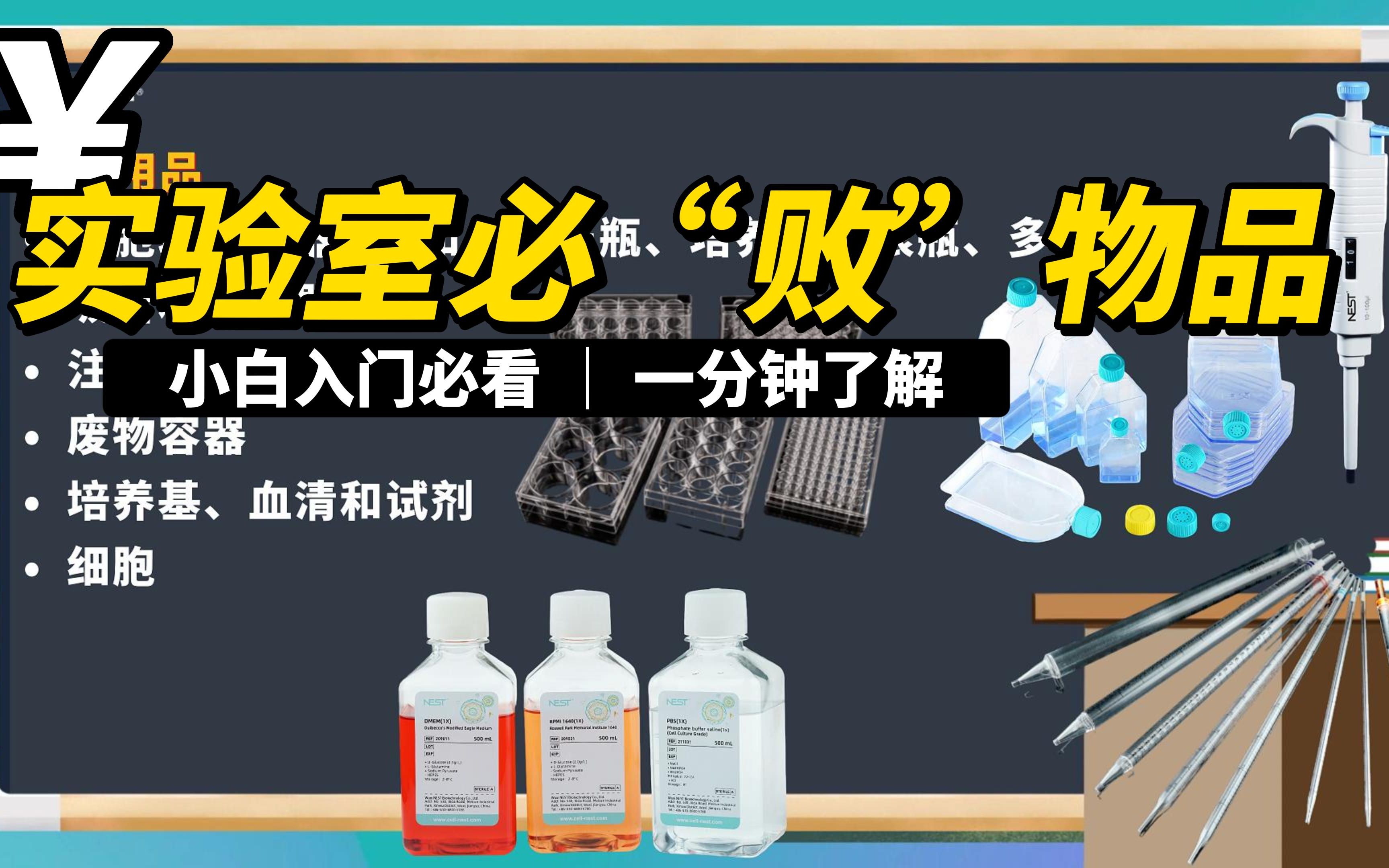 实验室解决方案 | 新手如何选择实验室细胞培养设备?快发给老板买买买哔哩哔哩bilibili