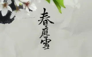 春庭雪 搜索结果 哔哩哔哩 Bilibili