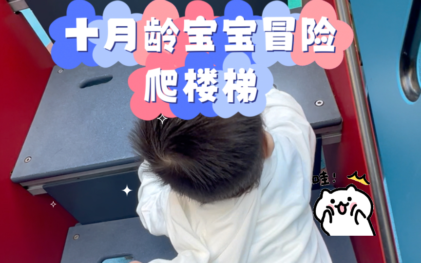 十月龄宝宝冒险爬楼梯,萌翻了!