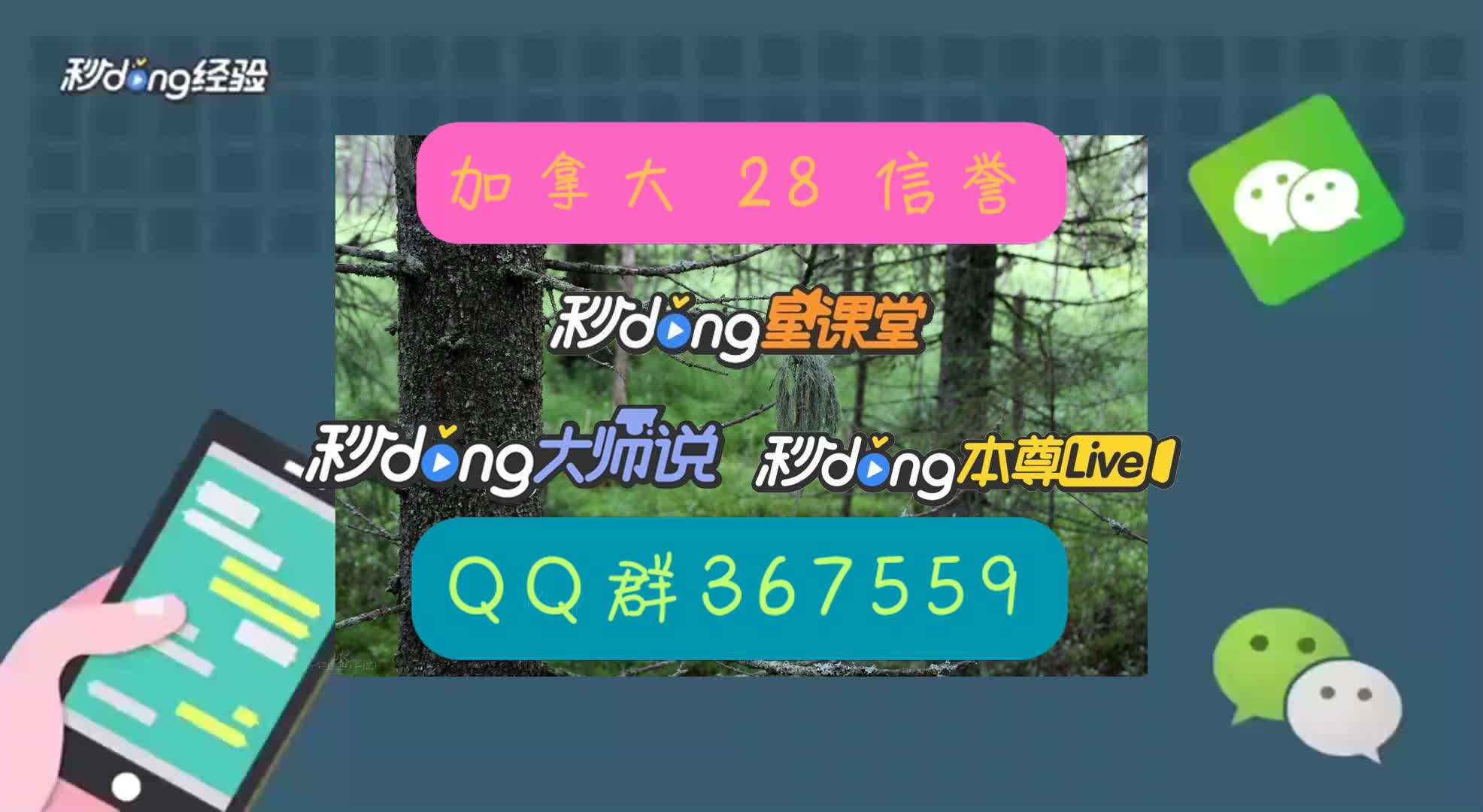 7分钟了解全天加拿大pc28qq群