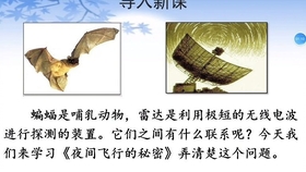 部编新人教版四年级上第6课 夜间飞行的秘密 课文朗读 哔哩哔哩 つロ干杯 Bilibili