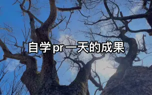 Descargar video: 自学pr剪辑一天，看看我的学习成果怎么样