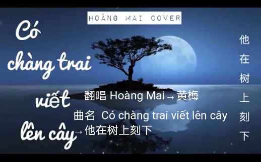 [图]【越南歌曲】【翻唱版】【翻唱 Hoàng Mai→黄梅】【曲名 Có chàng trai viết lên cây→他在树上刻下】中文歌词版本，2020年版本