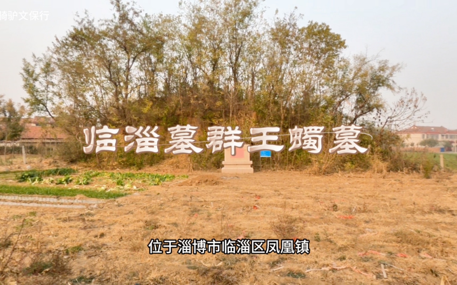 淄博临淄墓群·王蠋墓