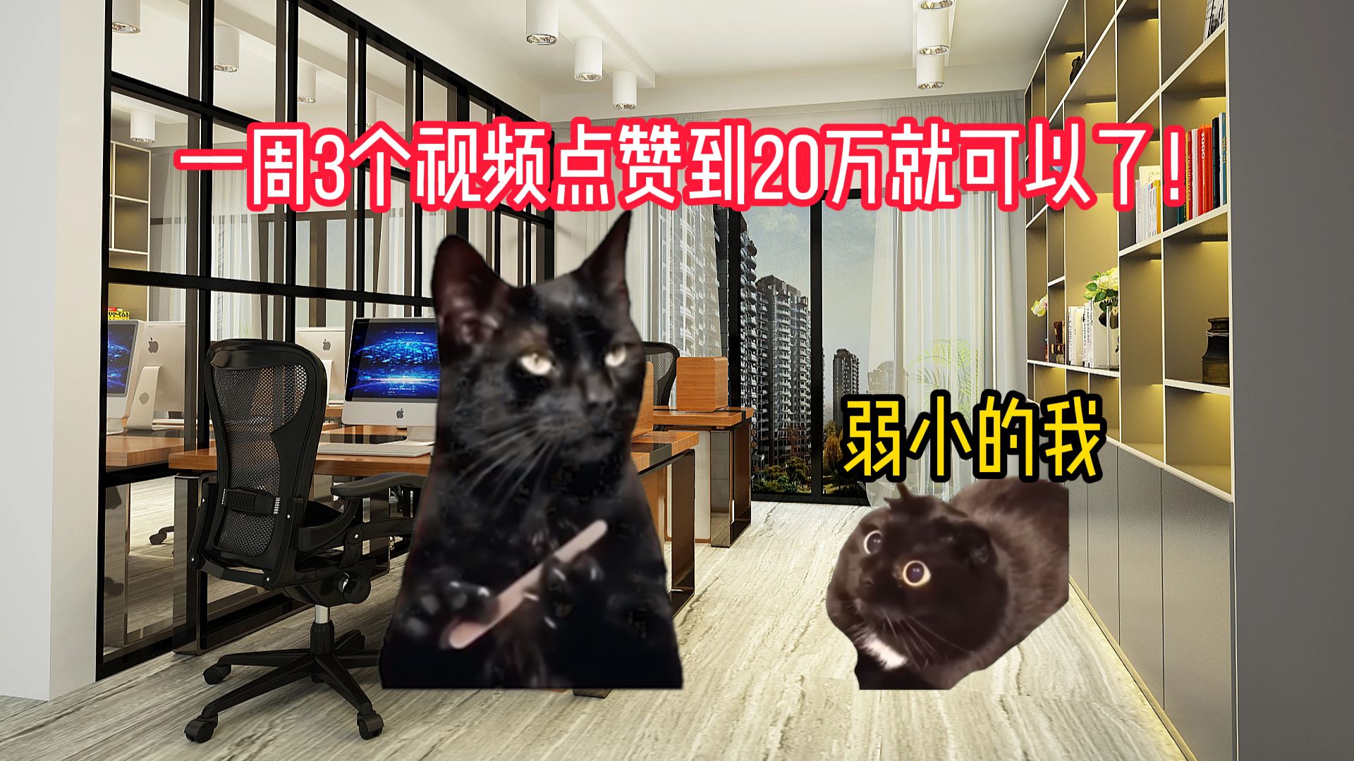 【猫meme】00后勇闯大人玩具公司哔哩哔哩bilibili