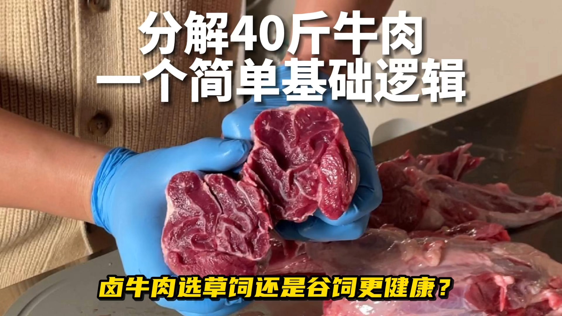 40斤卤牛肉牛前腱,如何快速分解详细教程!哔哩哔哩bilibili