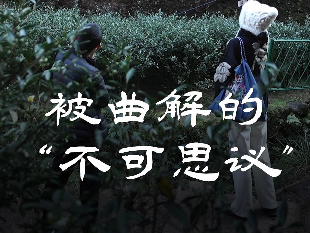 被大家误解的武夷山"不可思议",真实含义是什么?