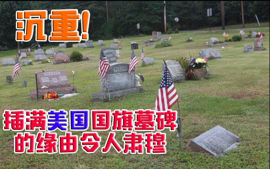 沉重!插满美国国旗墓碑的缘由令人肃穆,为什么墓碑插国旗?随便想插就插?哔哩哔哩bilibili