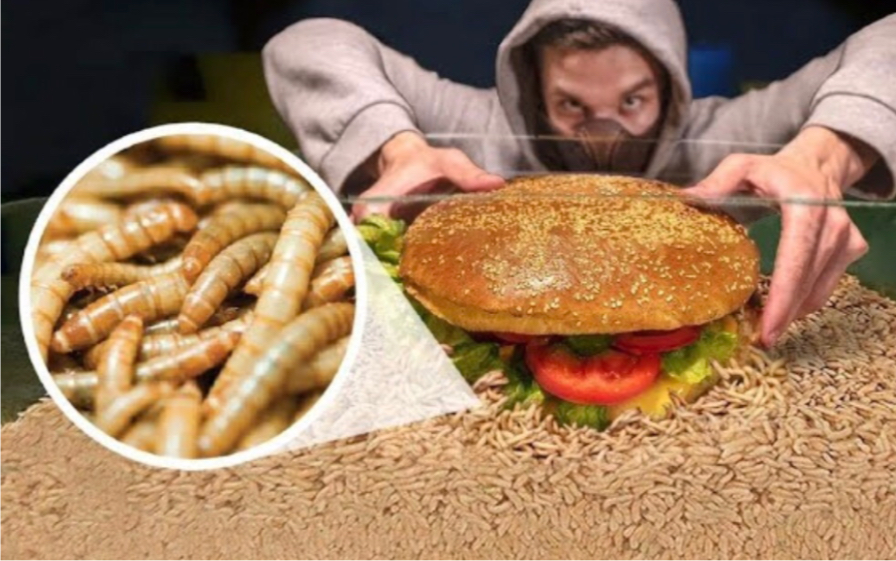 重口慎入,一堆面包虫需要多少分钟消灭一个汉堡呢?