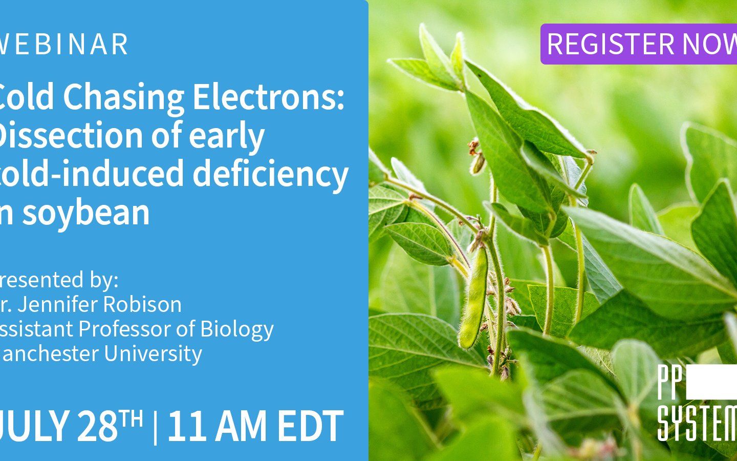 [图]PEA（OJIP）：Cold Chasing Electrons Dissection of early cold-induced deficiency