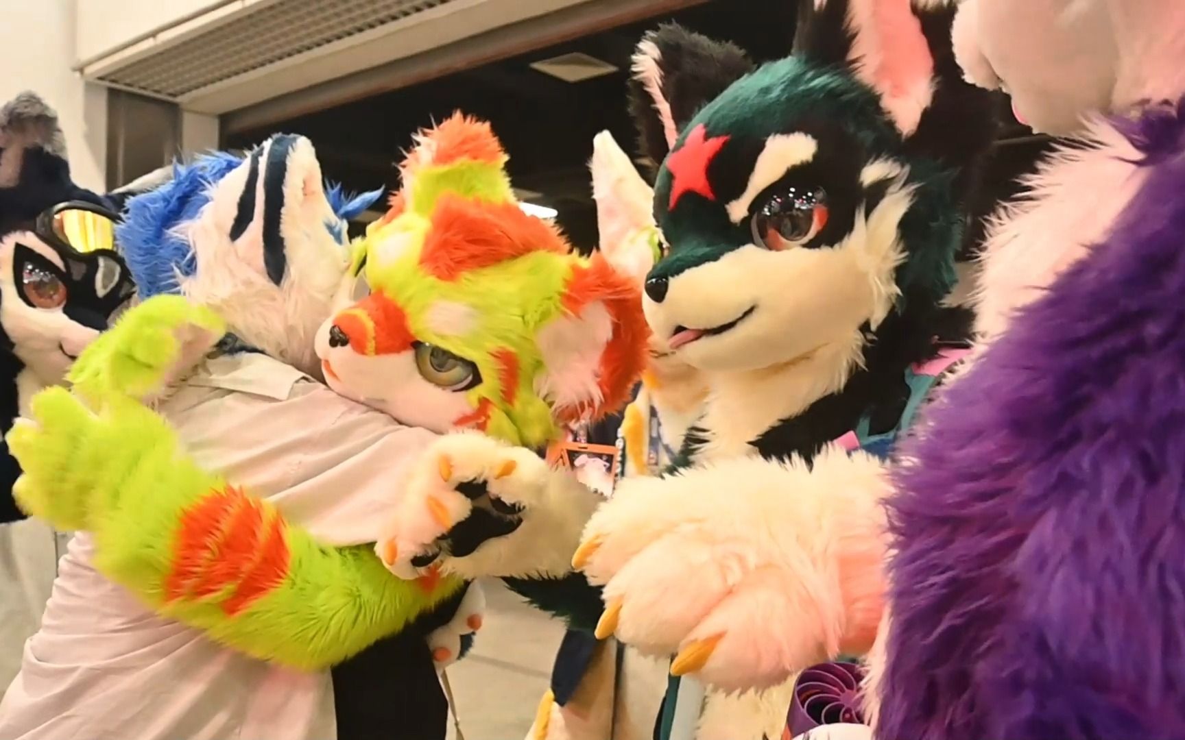 【极兽聚·2023】盛夏一聚 友谊永存