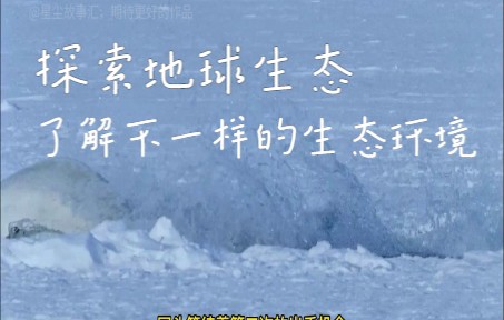 电影:揭开神秘的海洋世界哔哩哔哩bilibili