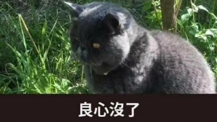 良心没了,就可以赚更多了.
