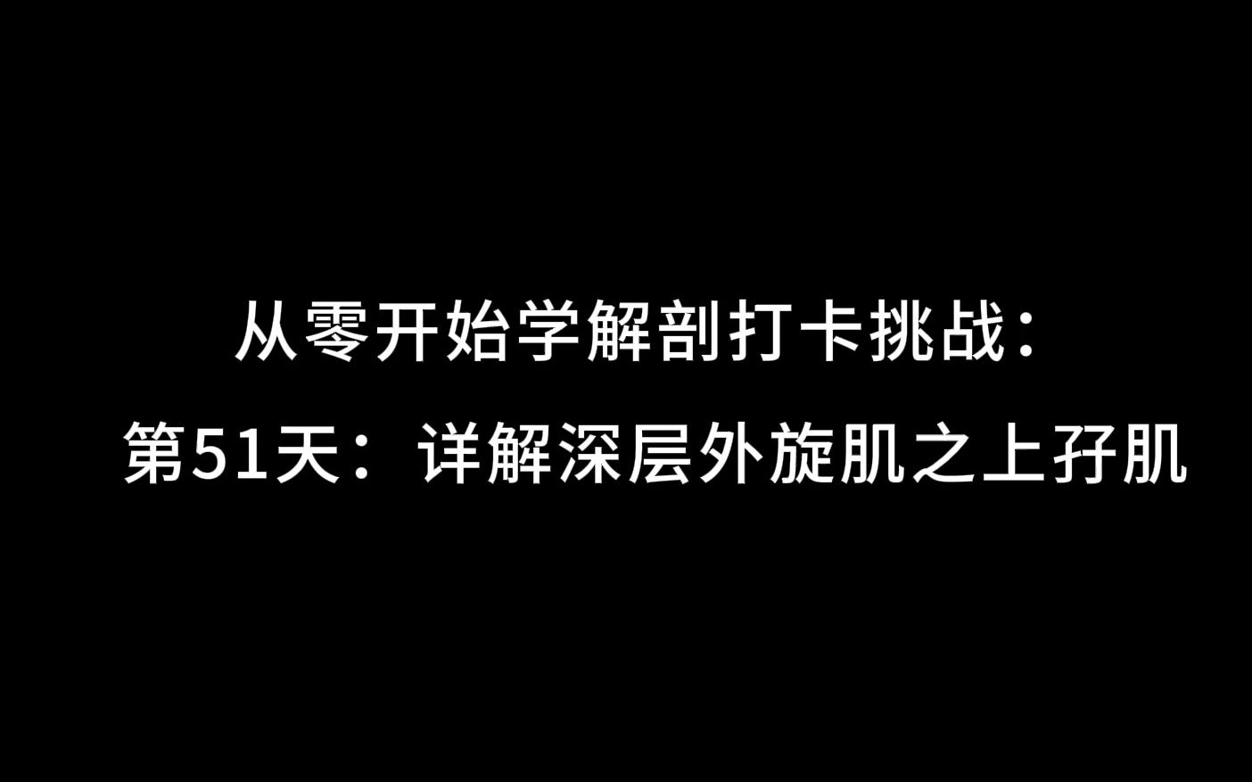 从零开始学解剖打卡挑战:第51天:详解深层外旋肌之上孖肌哔哩哔哩bilibili