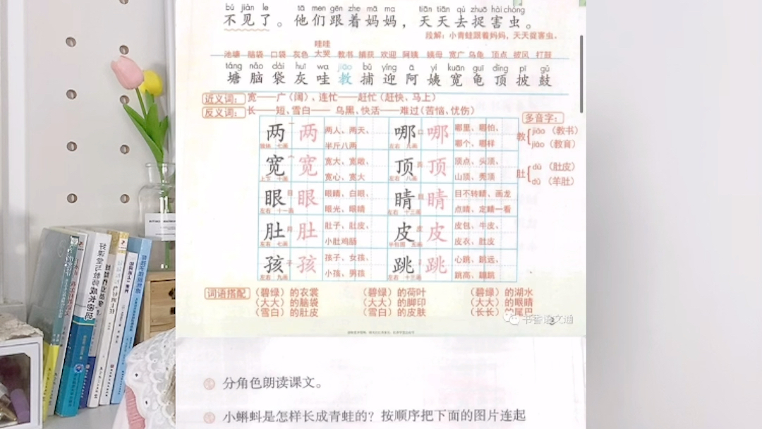 安利7个小学语文学习小程序哔哩哔哩bilibili