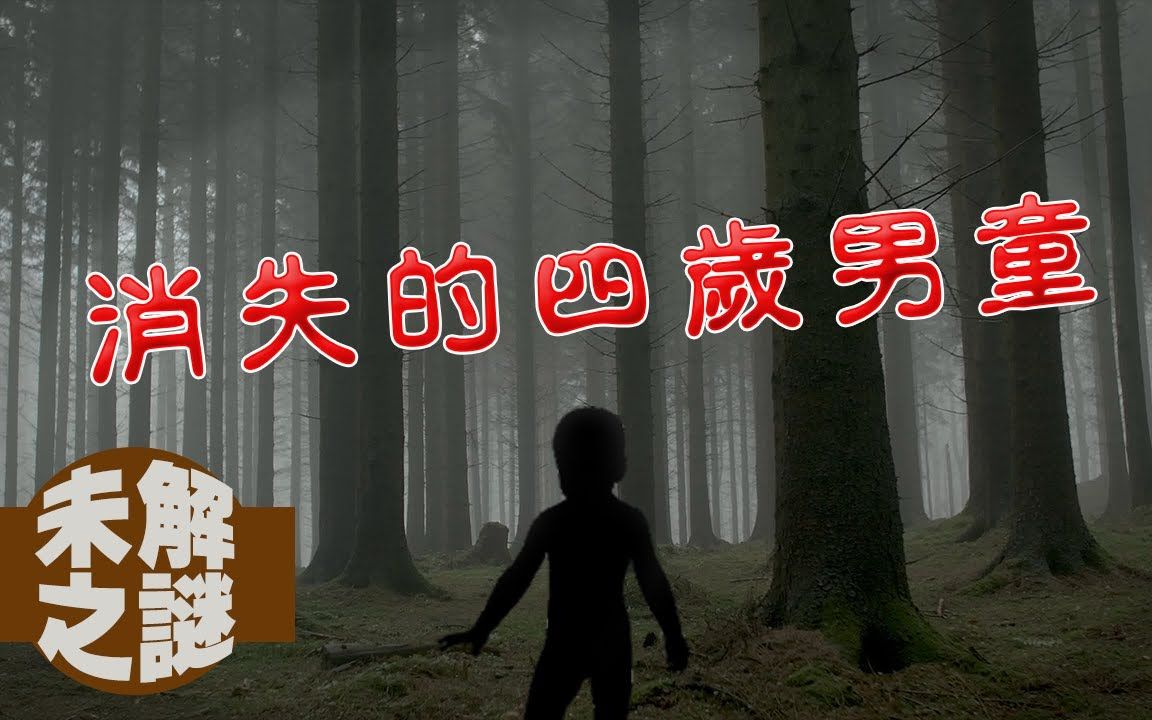 [图]【未解之謎】四歲男童離奇失蹤，警方表示無能為力？！｜松岡伸矢神隱事件｜下水道先生